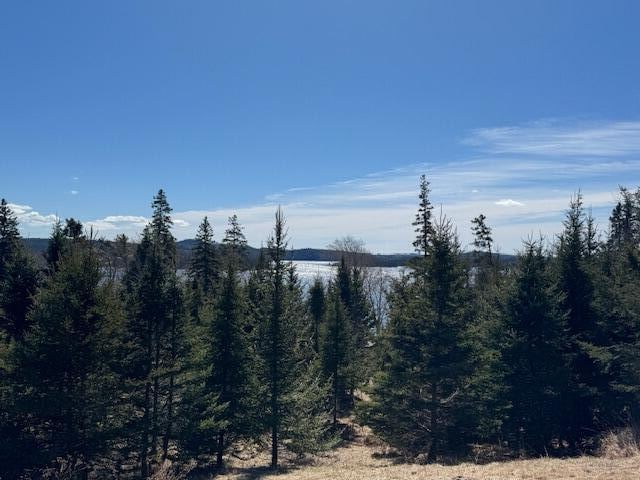 M17L15 Battle Ave, Castine, ME 04421