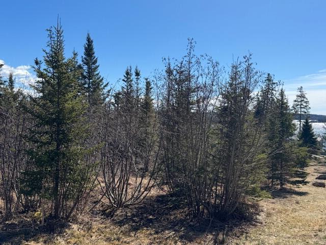 M17L15 Battle Ave, Castine, ME 04421