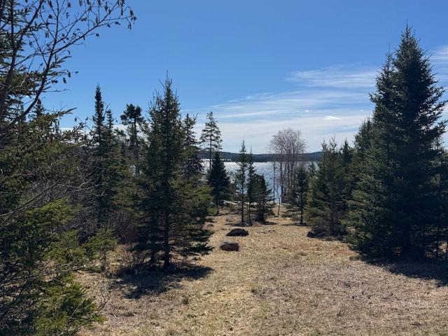 M17L15 Battle Ave, Castine, ME 04421