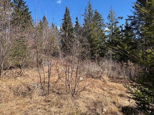 M17L15 Battle Ave, Castine, ME 04421