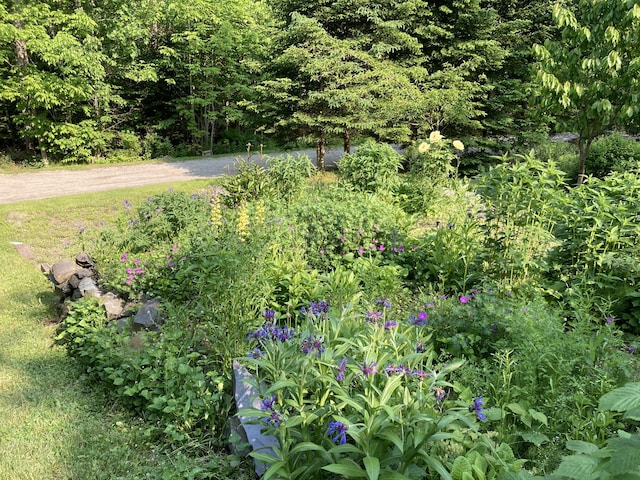 34 Highview Ave, Hancock, ME 04640 - view of yard