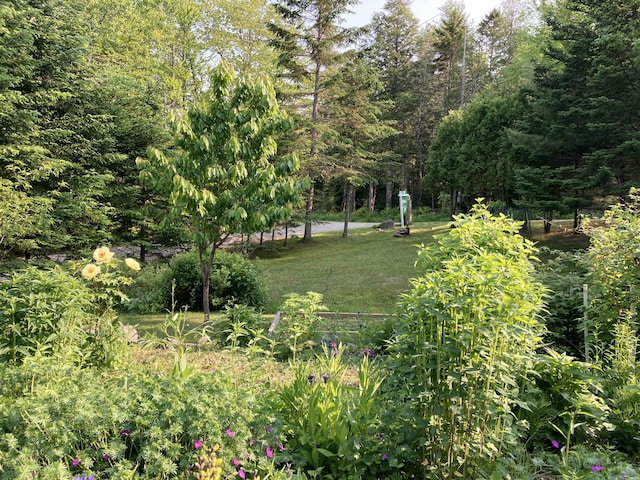 34 Highview Ave, Hancock, ME 04640 - view of grassy yard with a view of trees