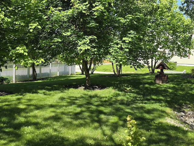 5 Roland Ave, Lewiston, ME 04240 - view of yard