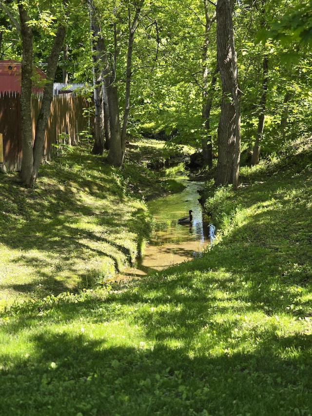 5 Roland Ave, Lewiston, ME 04240 - view of yard