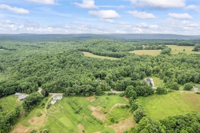 179 Fish Meadow Rd, Livermore, ME 04253 - photo 45