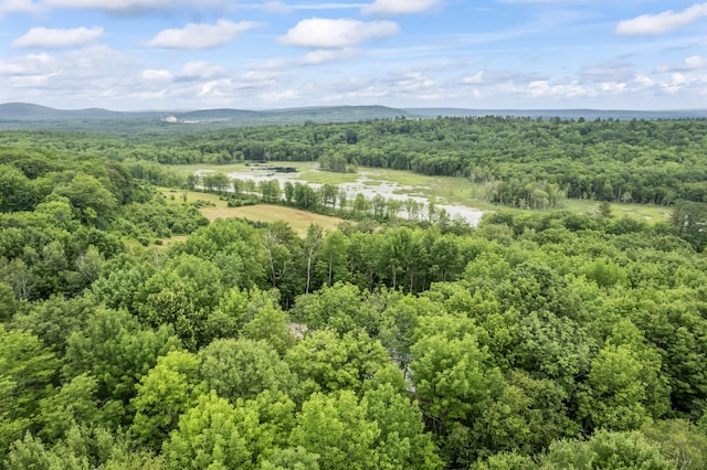 179 Fish Meadow Rd, Livermore, ME 04253 - photo 46