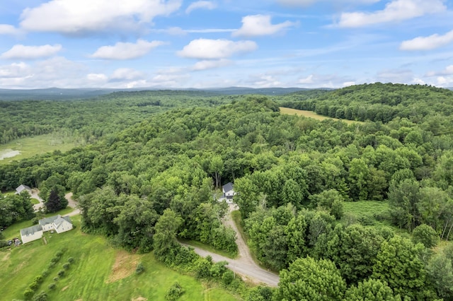 179 Fish Meadow Rd, Livermore, ME 04253 - photo 48