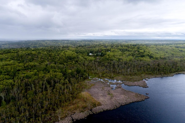 31 Lakeview Dr, West Bath, ME 04530 - aerial overview of property's location featuring a heavily wooded area and a nearby body of water