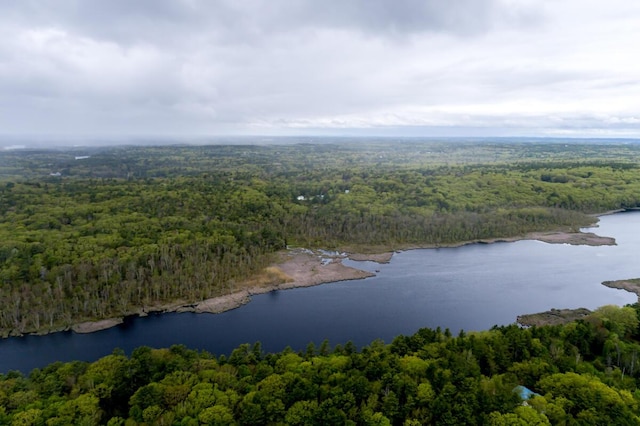 31 Lakeview Dr, West Bath, ME 04530 - view of property location with a heavily wooded area and a nearby body of water