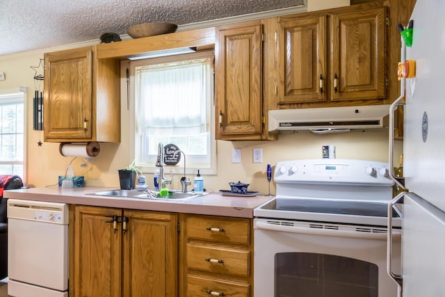 31 Lakeview Dr, West Bath, ME 04530 - kitchen featuring white appliances, ventilation hood, a sink, brown cabinetry, and light countertops