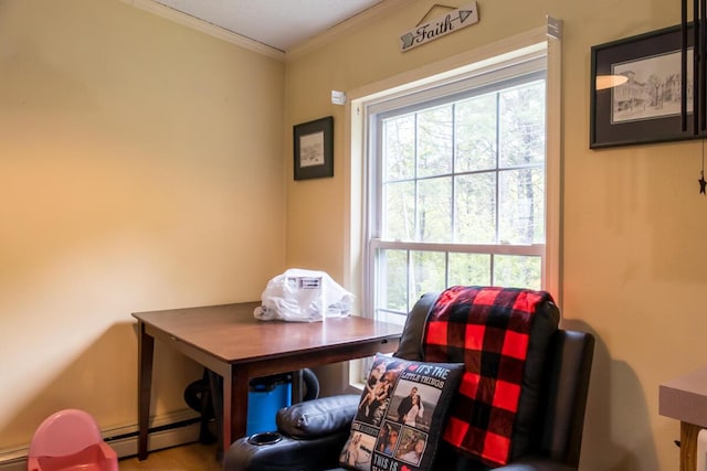 31 Lakeview Dr, West Bath, ME 04530 - sitting room with healthy amount of natural light, a baseboard radiator, crown molding, and a baseboard heating unit