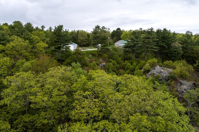 31 Lakeview Dr, West Bath, ME 04530 - view of property location with a forest