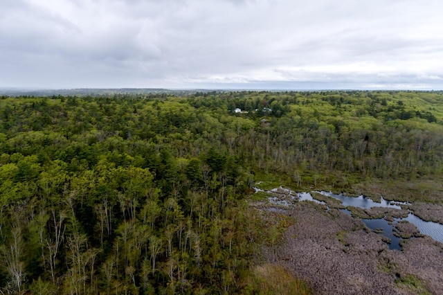 31 Lakeview Dr, West Bath, ME 04530 - aerial view of a forest