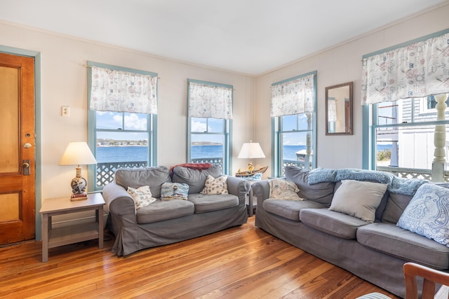 27 Ocean Ave Extension Unit 2, York, ME 03909 - living area featuring light wood-type flooring, healthy amount of natural light, and crown molding