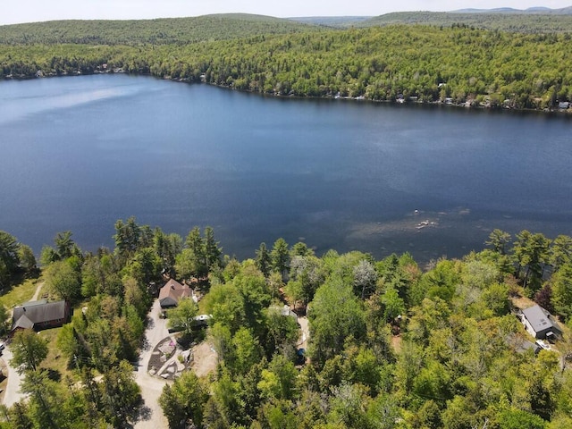 101 Brooks & Dunn Road, Otis, ME 04605 - drone / aerial view of a forest and a nearby body of water