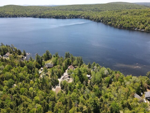 101 Brooks & Dunn Road, Otis, ME 04605 - bird's eye view of a forest and a large body of water