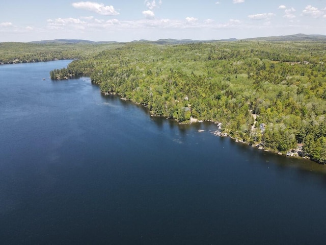 101 Brooks & Dunn Road, Otis, ME 04605 - bird's eye view of a forest and a water and mountain view