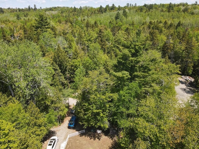 101 Brooks & Dunn Road, Otis, ME 04605 - aerial view of a forest