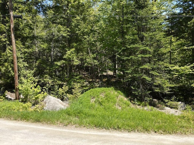 101 Brooks & Dunn Road, Otis, ME 04605 - view of tree filled area
