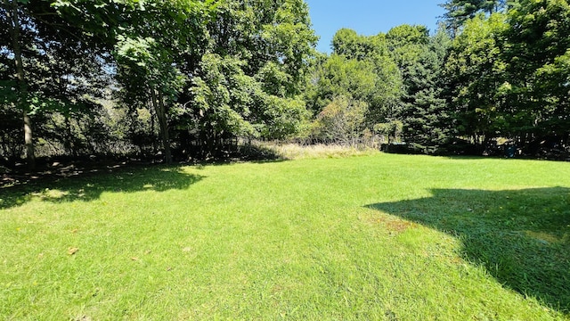 103 Water St, Machias, ME 04654 - view of green lawn
