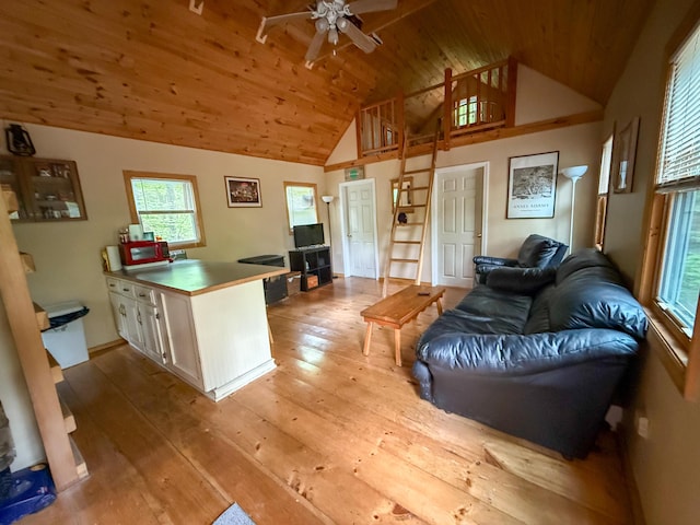 3 Trout Ln, Brownfield, ME 04010 - living room with wooden ceiling, a ceiling fan, hardwood / wood-style floors, and high vaulted ceiling