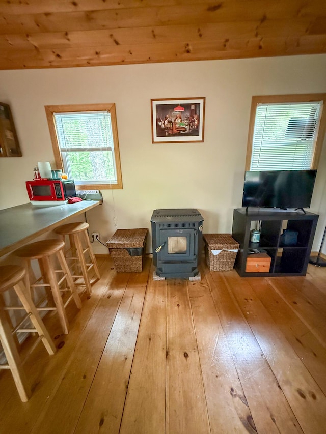 3 Trout Ln, Brownfield, ME 04010 - living room featuring hardwood / wood-style flooring and a wood stove