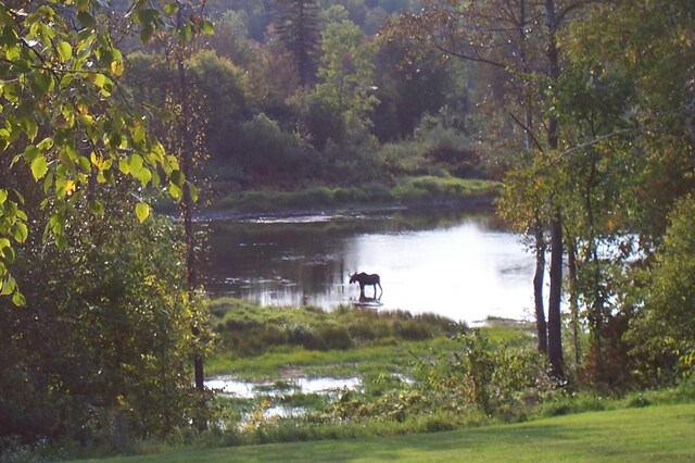 232 Washburn Rd, Presque Isle, ME 04769 - photo 52