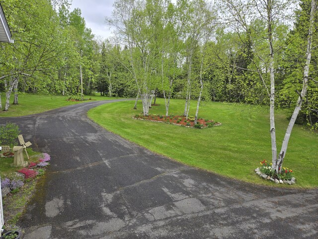 232 Washburn Rd, Presque Isle, ME 04769 - photo 12