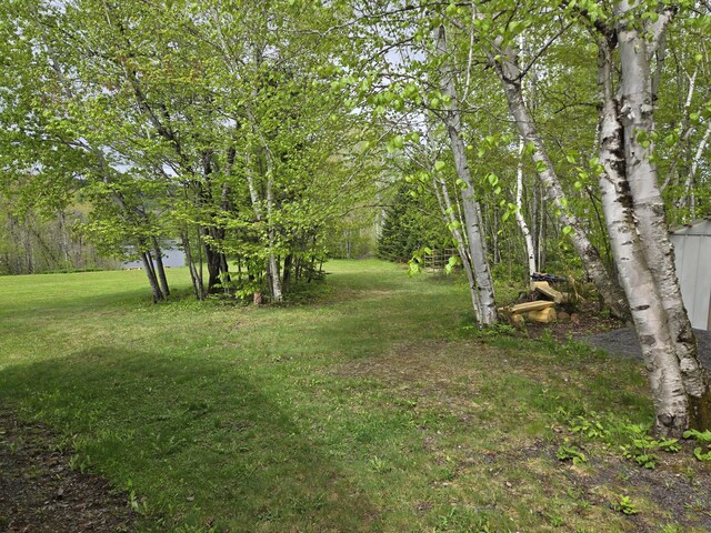 232 Washburn Rd, Presque Isle, ME 04769 - photo 15