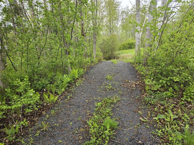 232 Washburn Rd, Presque Isle, ME 04769 - photo 19