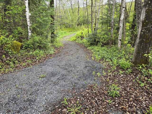 232 Washburn Rd, Presque Isle, ME 04769 - photo 20