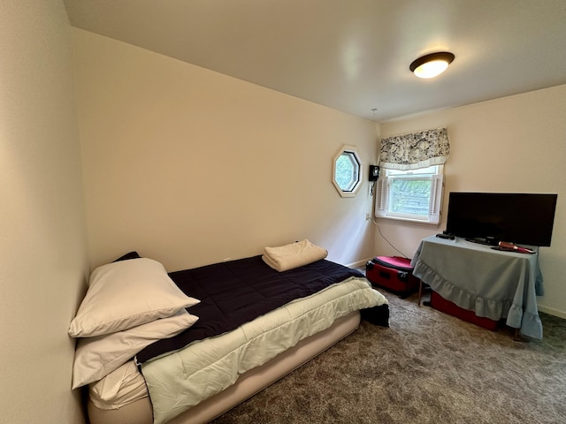 217 Jackson Rd, Monroe, ME 04951 - bedroom featuring carpet floors