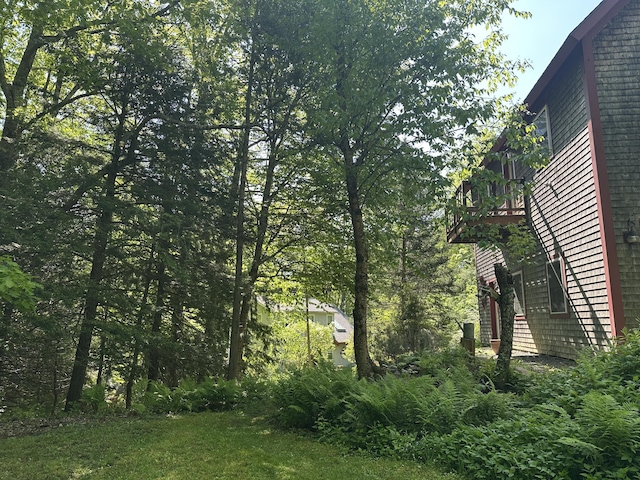 217 Jackson Rd, Monroe, ME 04951 - view of yard