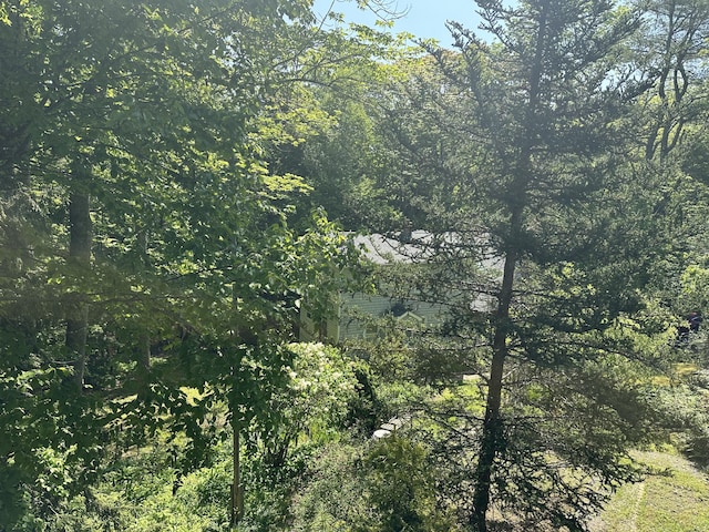 217 Jackson Rd, Monroe, ME 04951 - view of tree filled area