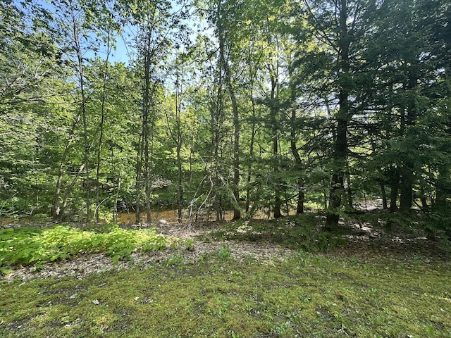 217 Jackson Rd, Monroe, ME 04951 - view of undeveloped land