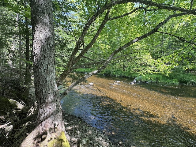 217 Jackson Rd, Monroe, ME 04951 - view of tree filled area