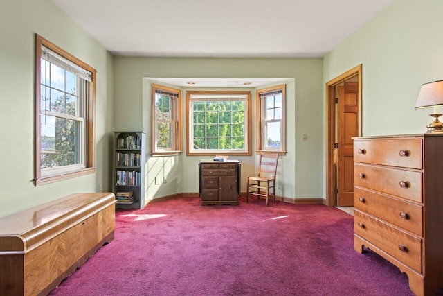 43 W Lynne Ave, Portland, ME 04103 - living area with carpet floors and baseboards