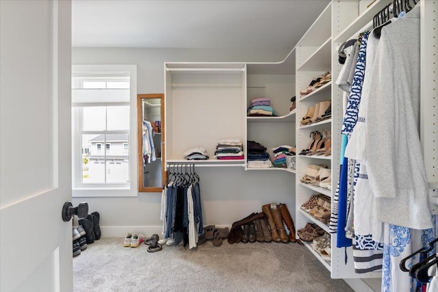 5 Cobblestone St Unit 53, Falmouth, ME 04105 - spacious closet with carpet floors