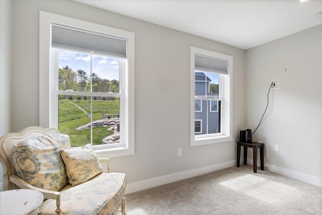 5 Cobblestone St Unit 53, Falmouth, ME 04105 - sitting room featuring healthy amount of natural light, carpet, and baseboards