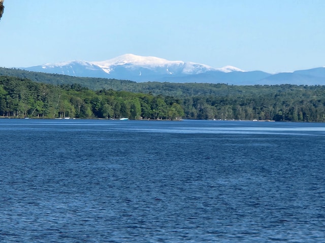 7 Goodridge Dr Unit 7, Naples, ME 04055 - water view with a heavily wooded area and a mountain backdrop