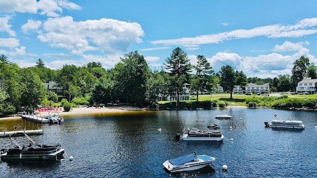 7 Goodridge Dr Unit 7, Naples, ME 04055 - water view featuring a tree filled landscape
