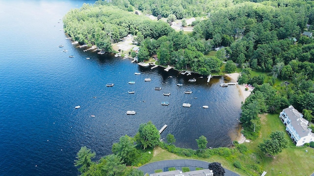 7 Goodridge Dr Unit 7, Naples, ME 04055 - view of property location featuring a large body of water