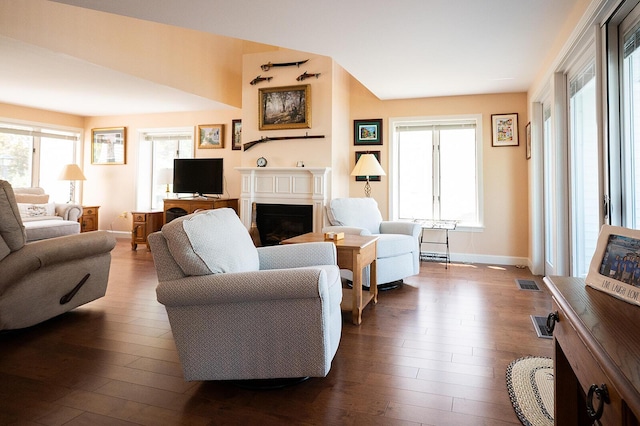 7 Goodridge Dr Unit 7, Naples, ME 04055 - living room featuring dark wood finished floors, baseboards, and a fireplace