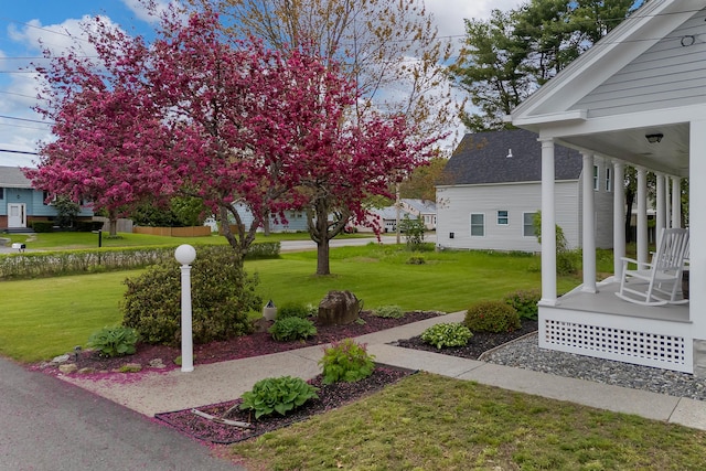 96 Grove St, Lewiston, ME 04240 - view of green lawn