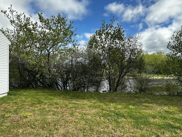 29 Exchange St, Presque Isle, ME 04769 - view of grassy yard