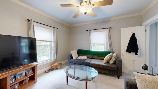 17 Wellman St, Lewiston, ME 04240 - living room with light colored carpet, ornamental molding, and ceiling fan