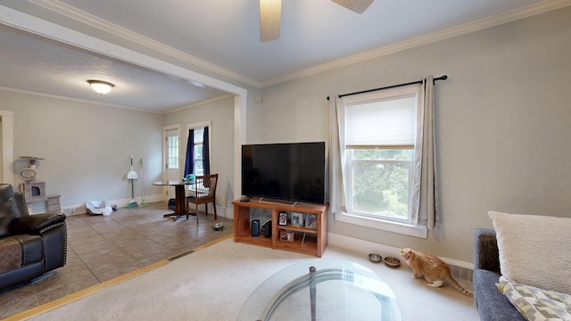 17 Wellman St, Lewiston, ME 04240 - carpeted living area with a ceiling fan, baseboards, crown molding, and tile patterned floors