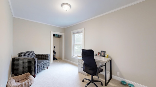 17 Wellman St, Lewiston, ME 04240 - office area with light colored carpet, crown molding, and baseboards