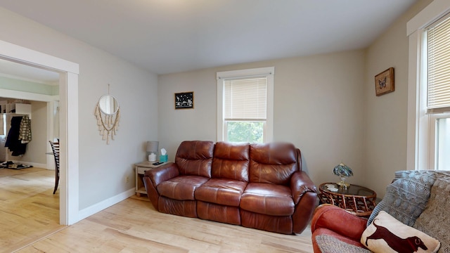 17 Wellman St, Lewiston, ME 04240 - living room with light wood-style flooring and baseboards