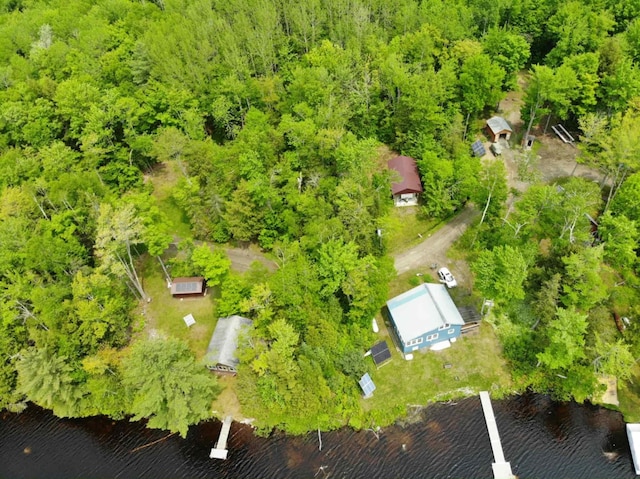 MAP2A Wheaton Rd, Dover-Foxcroft, ME 04426 - aerial view of a large body of water